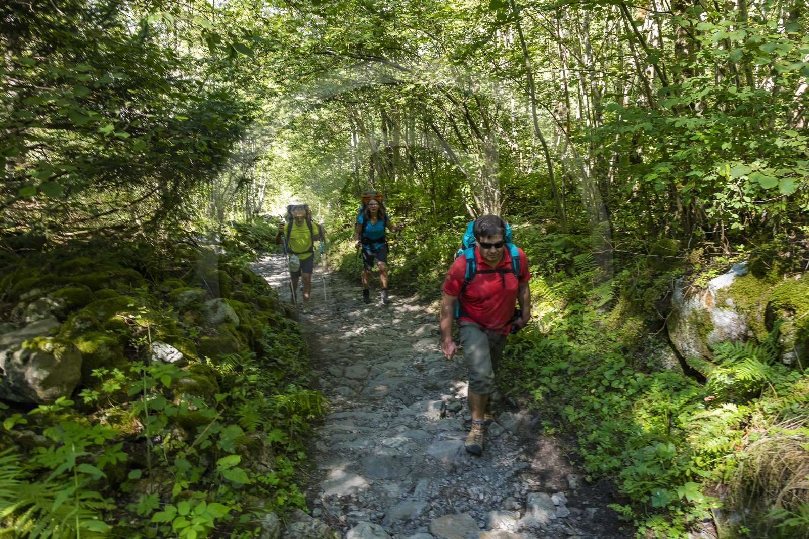 Randonnée pédestre sur le GR54