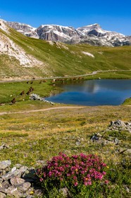 Termignon, Plan du Lac
