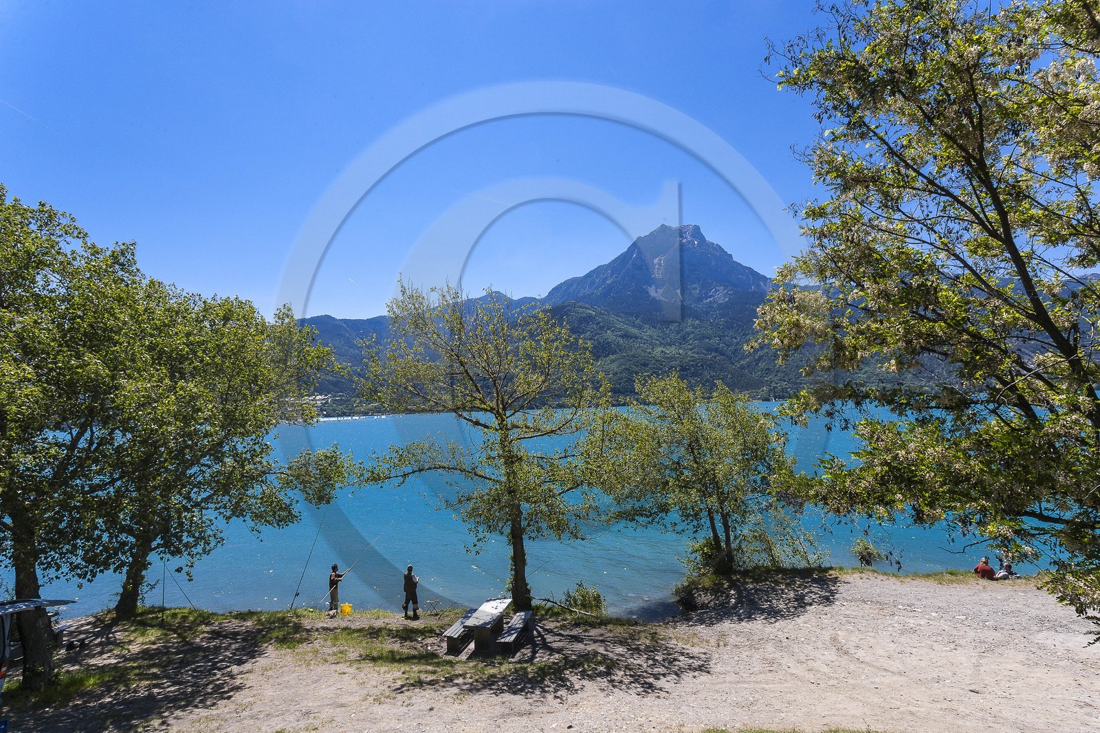 Lac de Serre-Ponçon, pêche en lac