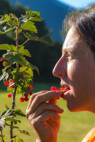 LéguMontagne Sylvie Jaussaud , Maraîchères bio