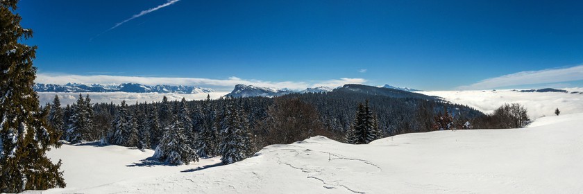 ENS de l'Isère, Plateau de la Molière et du Sornin