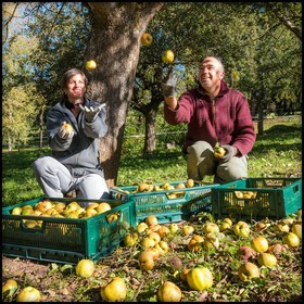 Etablissement Gayral, producteur de jus