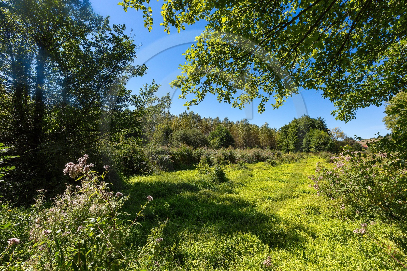 ENS de l'Isère, Les Fontaines de Beaufort