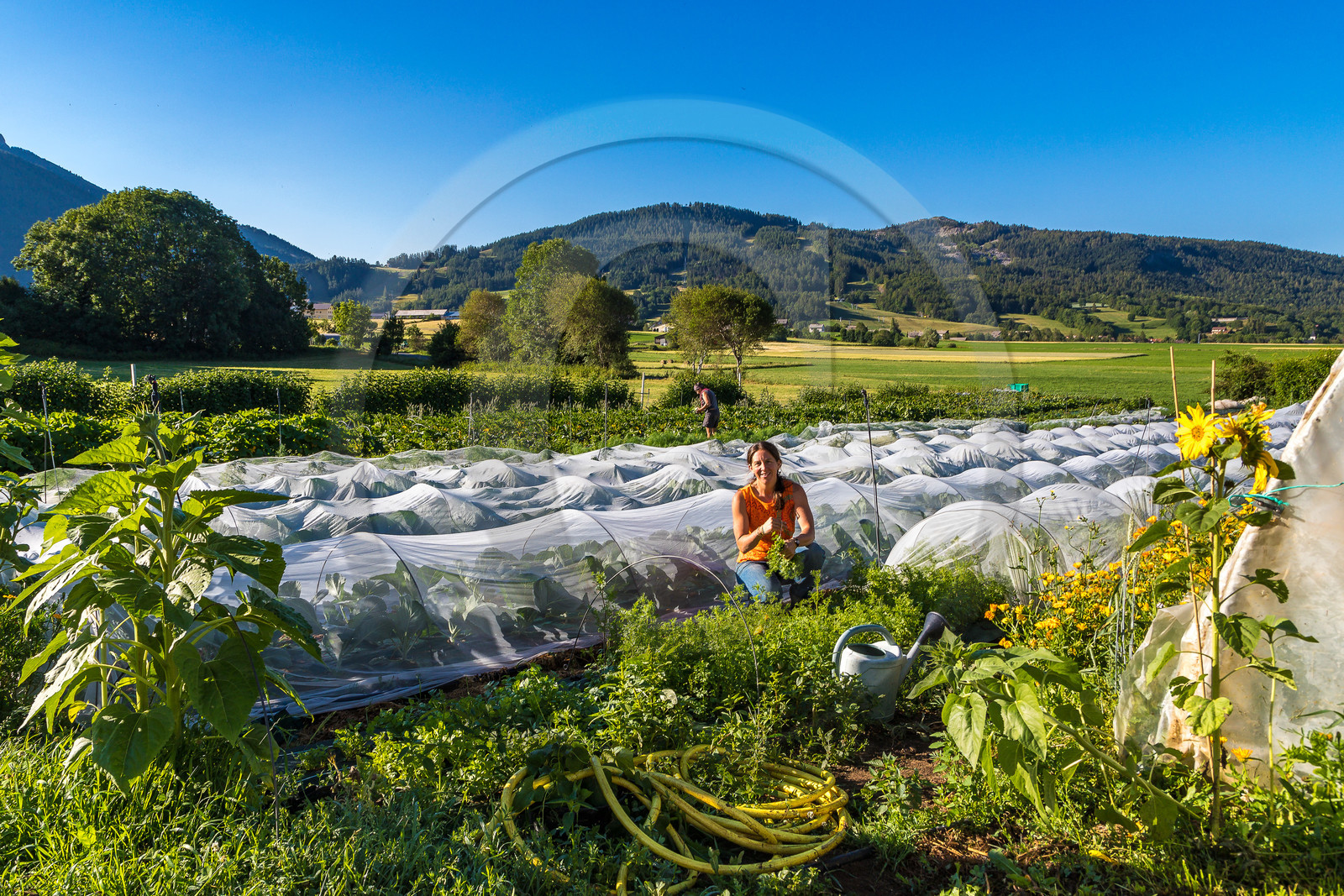 LéguMontagne Sylvie Jaussaud , Maraîchères bio