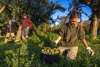 Etablissement Gayral, producteur de jus