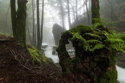 ENS de l'Isère, Les Ecouges