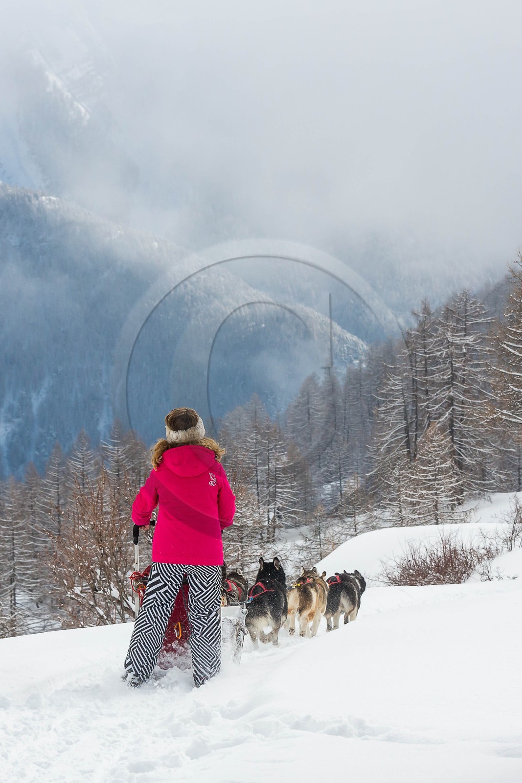 La Condamine-Châtelard, Sainte-Anne la Condamine, Coralie Bonnerot et ses chiens de traineau