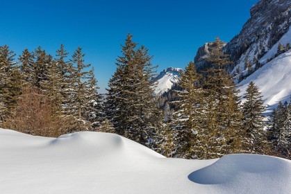 Espace naturel sensible de l'Isère, Col du Coq
