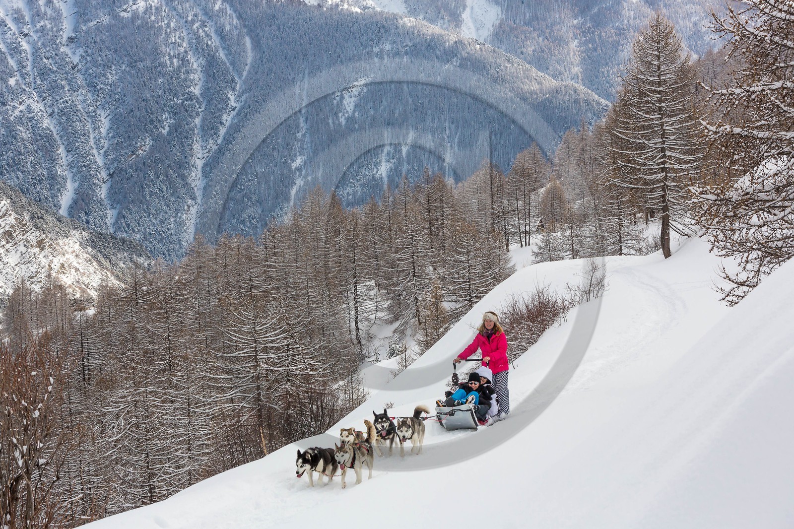 La Condamine-Châtelard, Sainte-Anne la Condamine, Coralie Bonnerot et ses chiens de traineau