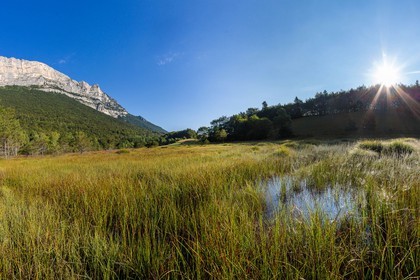ENS de l'Isère,Tourbières du Peuil