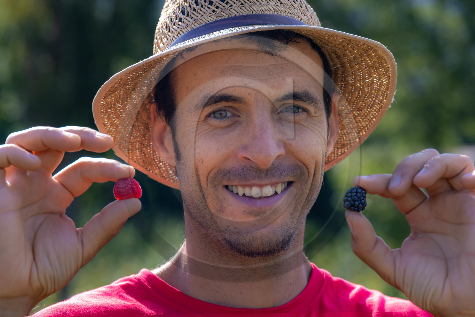 Ecrins de fruits, producteur de fruits rouges