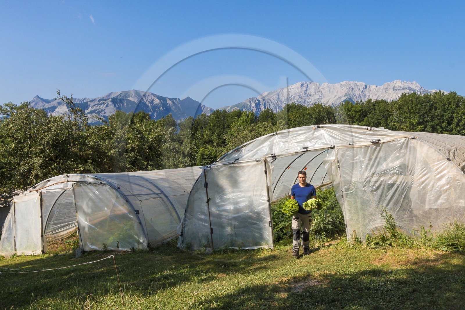 Vallée du Champsaur, Joubert Eric, maraîcher