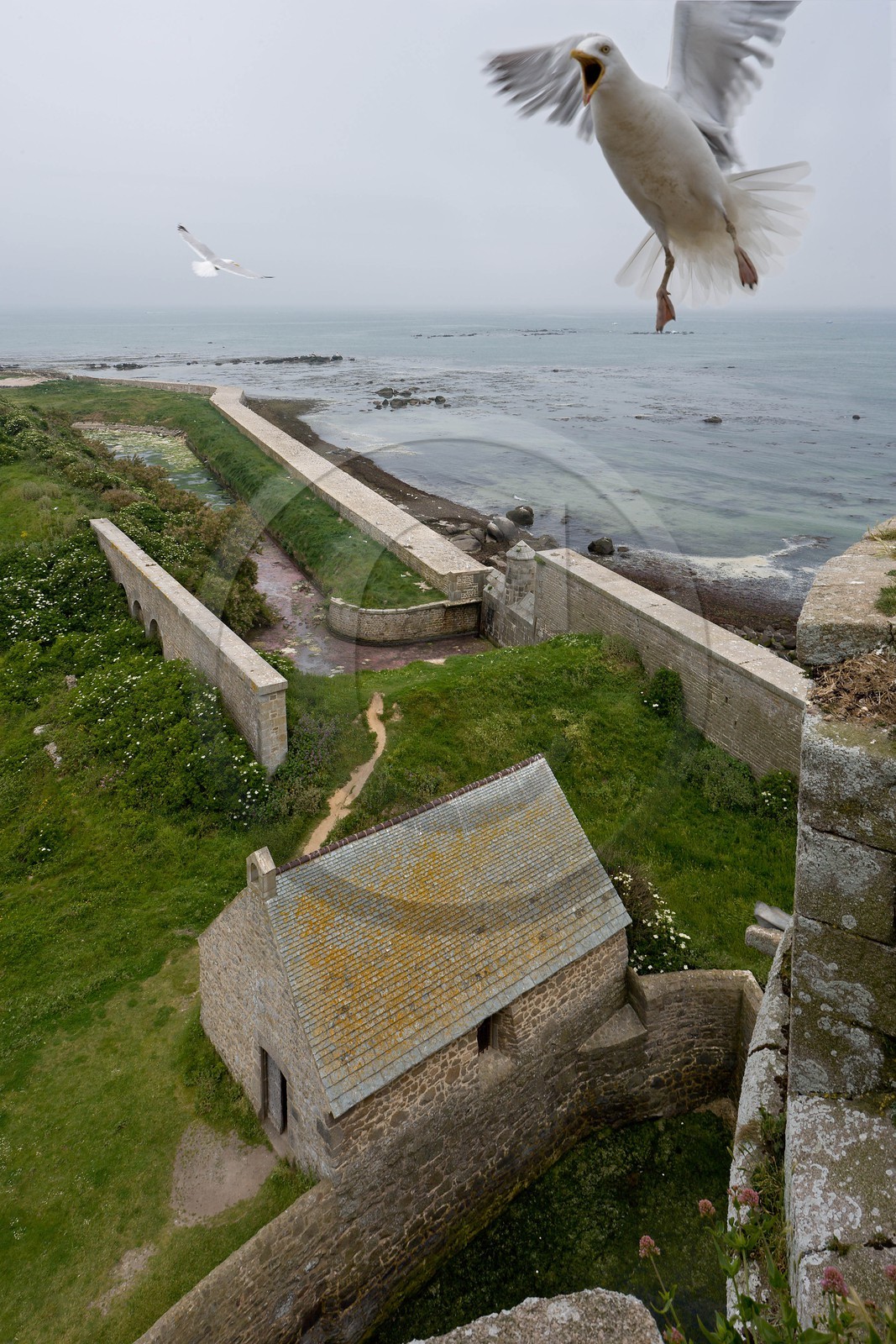 Saint-Vaast-la-Hougue