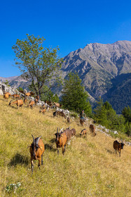Ferme du Bayle