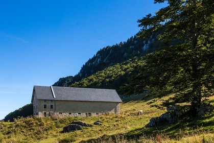 ENS de l'Isère, Les Ecouges, Fessole