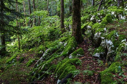 ENS de l'Isère, Les Ecouges