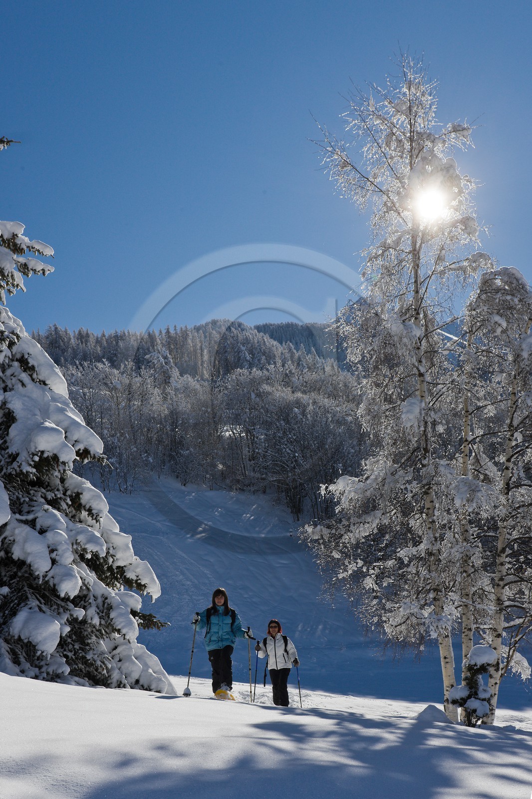 Randonnée raquettes