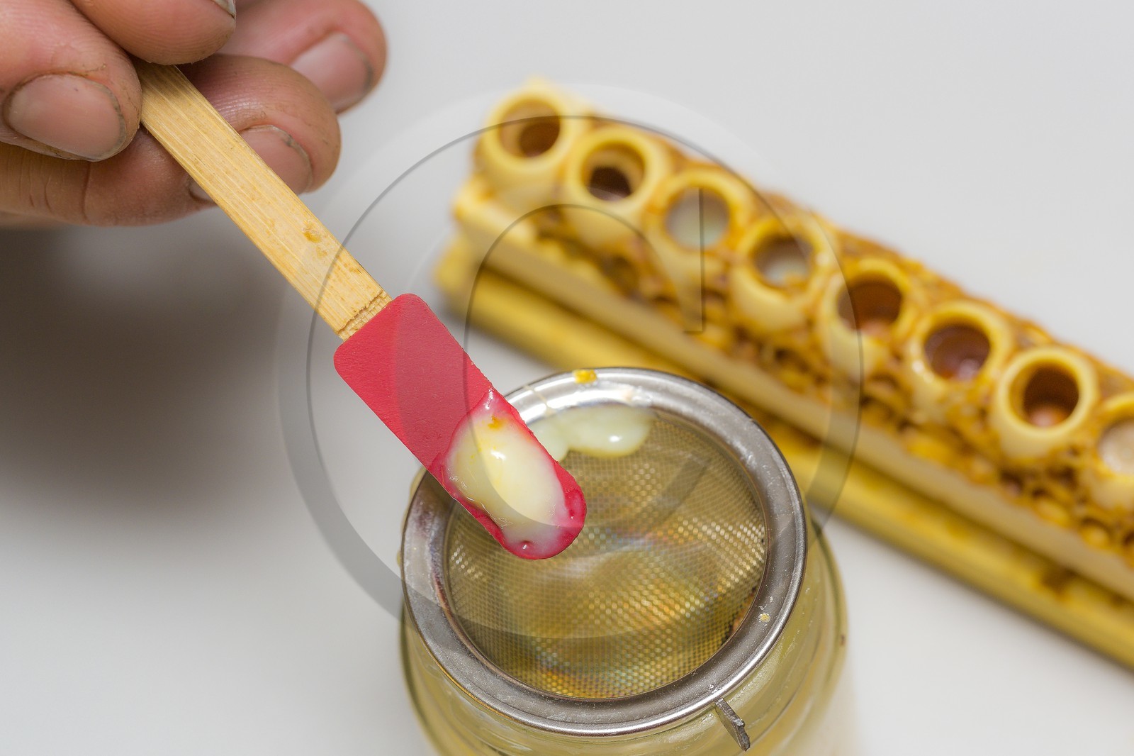 Mathieu Picavet, apiculteur