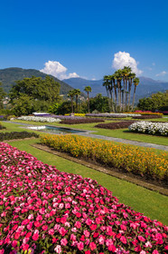 Jardin botanique de la villa Taranto