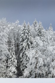 ENS de l'Isère, Les Ecouges