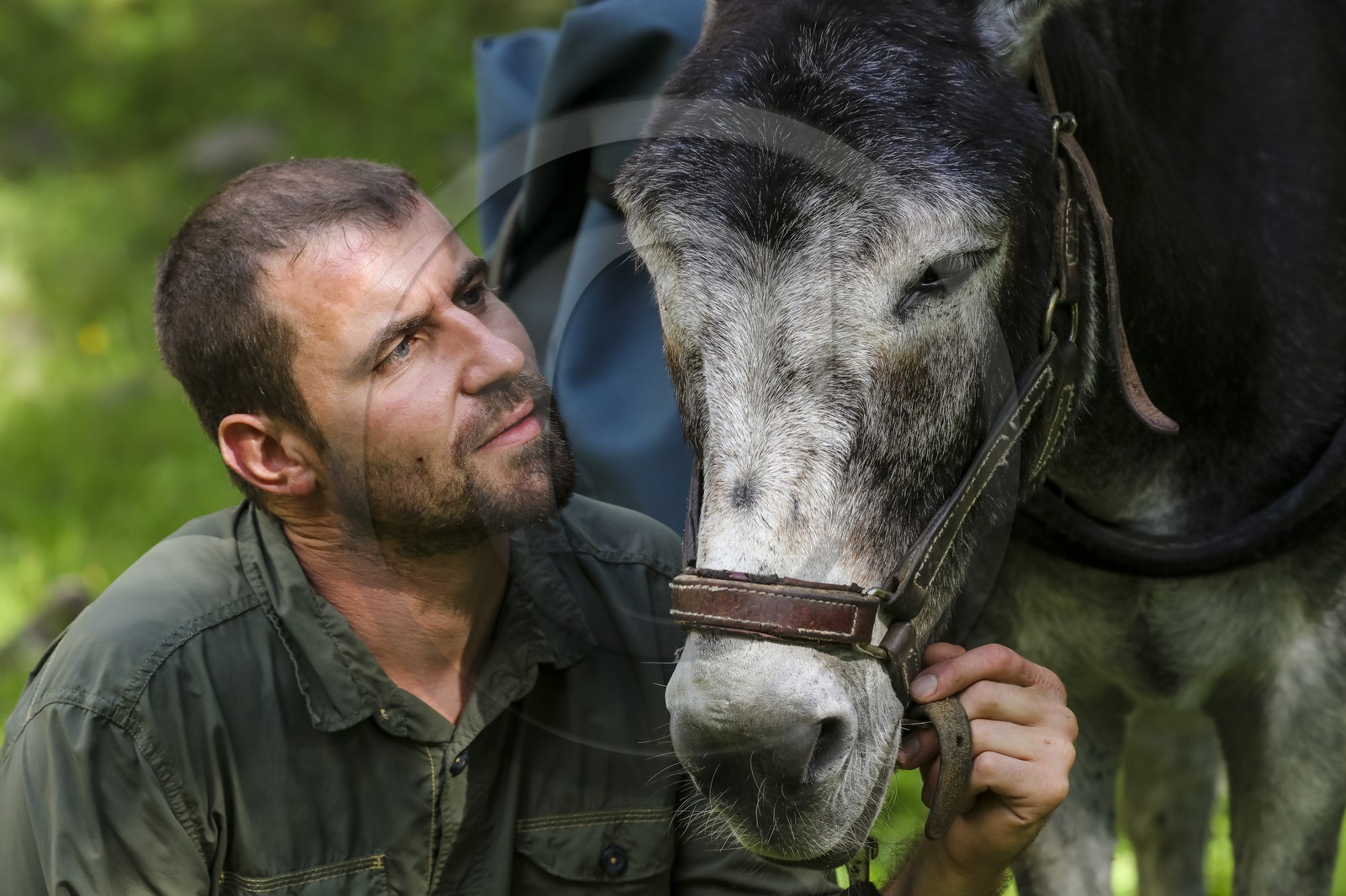 Yohann Masnada, accompagnateur ânier