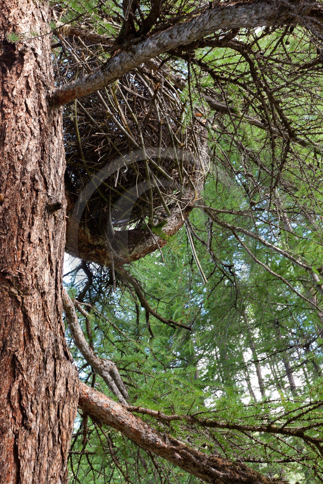 Patricia Meneses, SAN Val Varaita et Queyras
