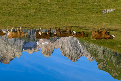 Lac de l'Arpettaz