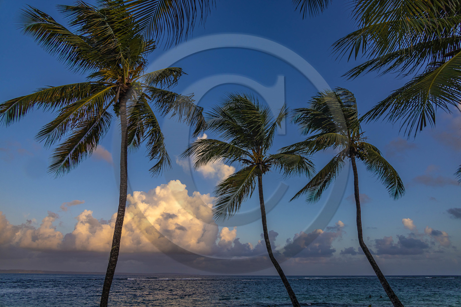 Guadeloupe, Le Moule, plage de L'Autre Bord