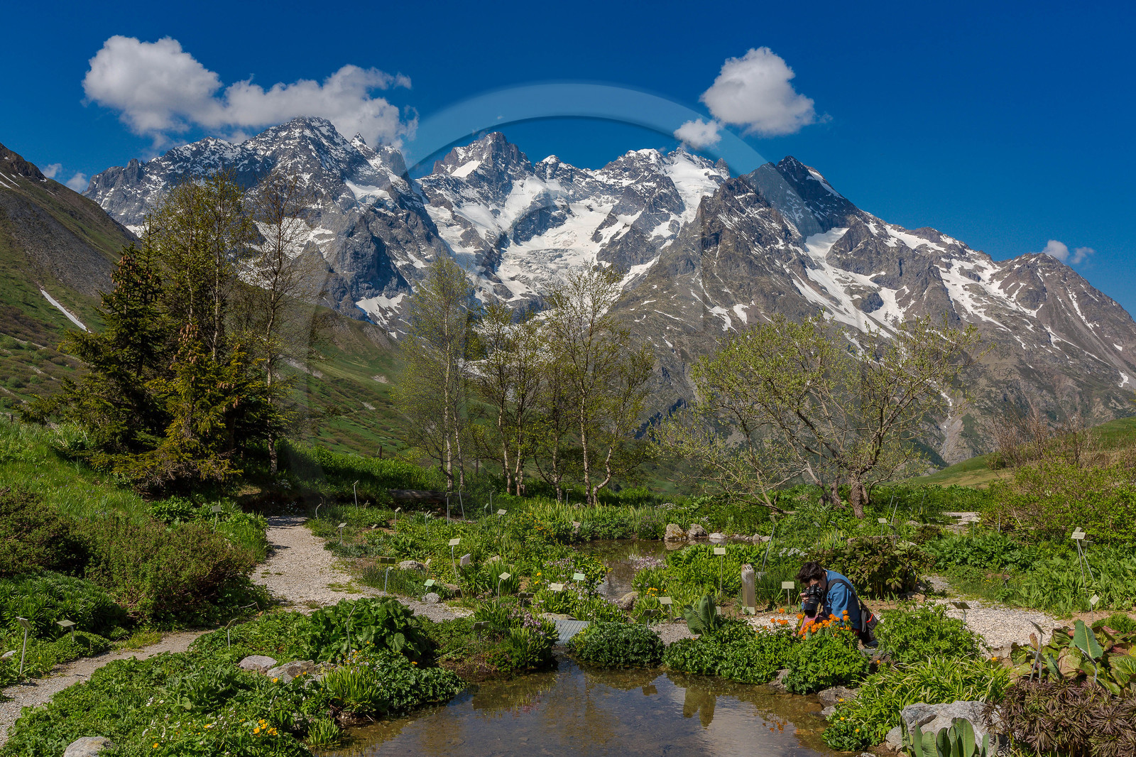 Jardin Botanique Alpin du Lautaret
