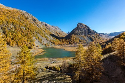 Jausiers, Lac des Sagnes et forêt de mélèzes à l'automne