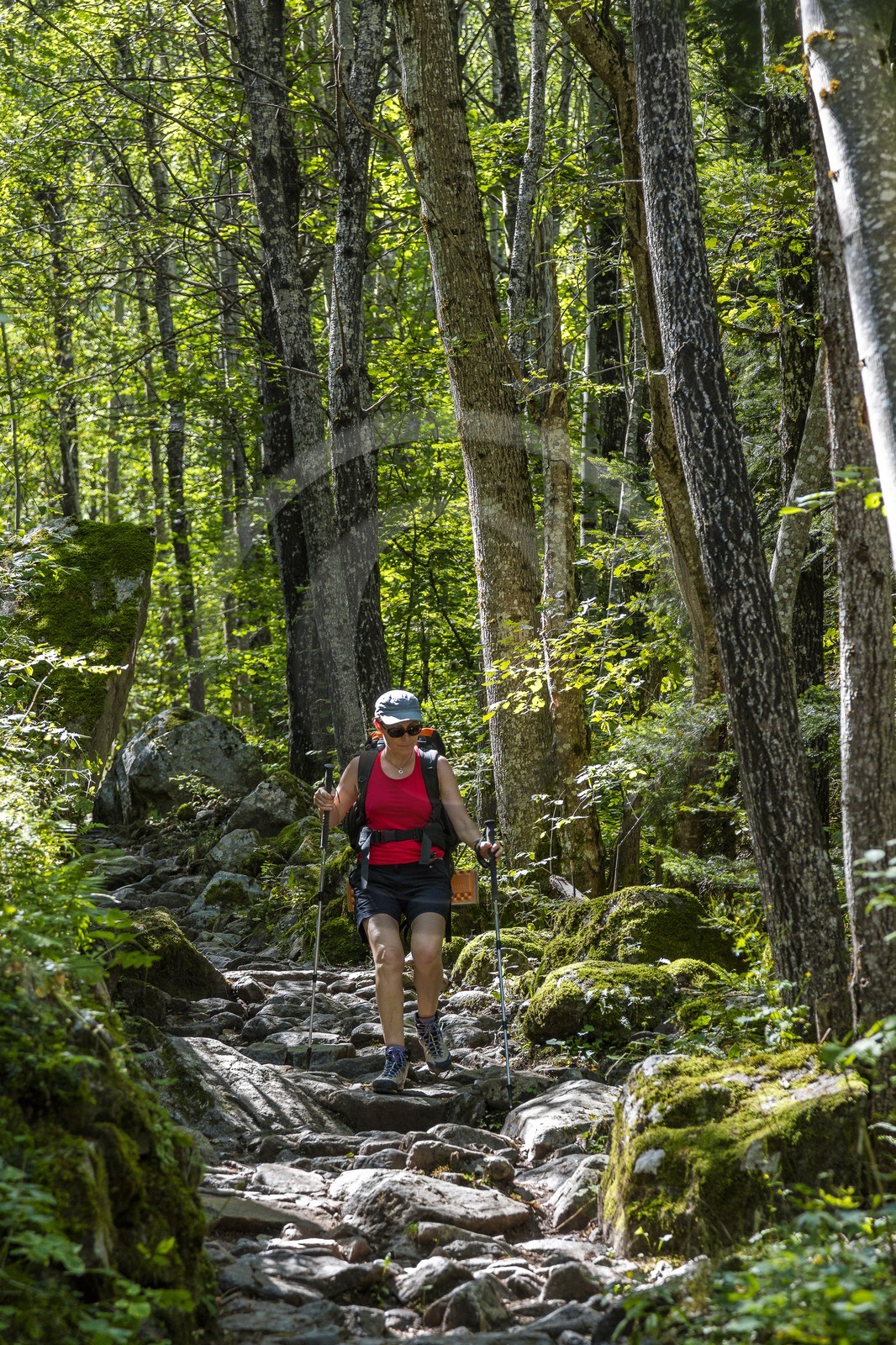 Randonnée pédestre sur le GR54