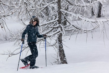 Randonnée, balade en raquettes à neige