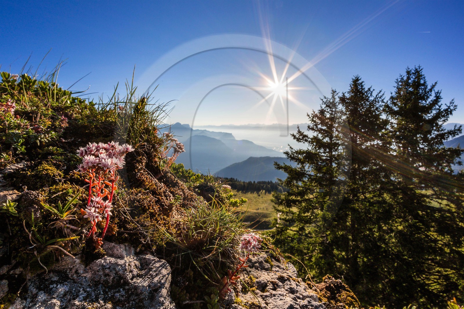 ENS de l'Isère, Plateau de la Molière et du Sornin