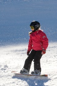 Surf, snowboard