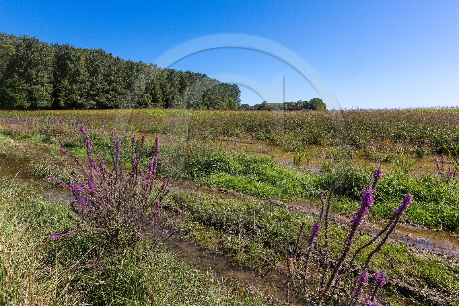 ENS de l'Isère, Les Fontaines de Beaufort