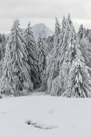 ENS de l'Isère, Les Ecouges
