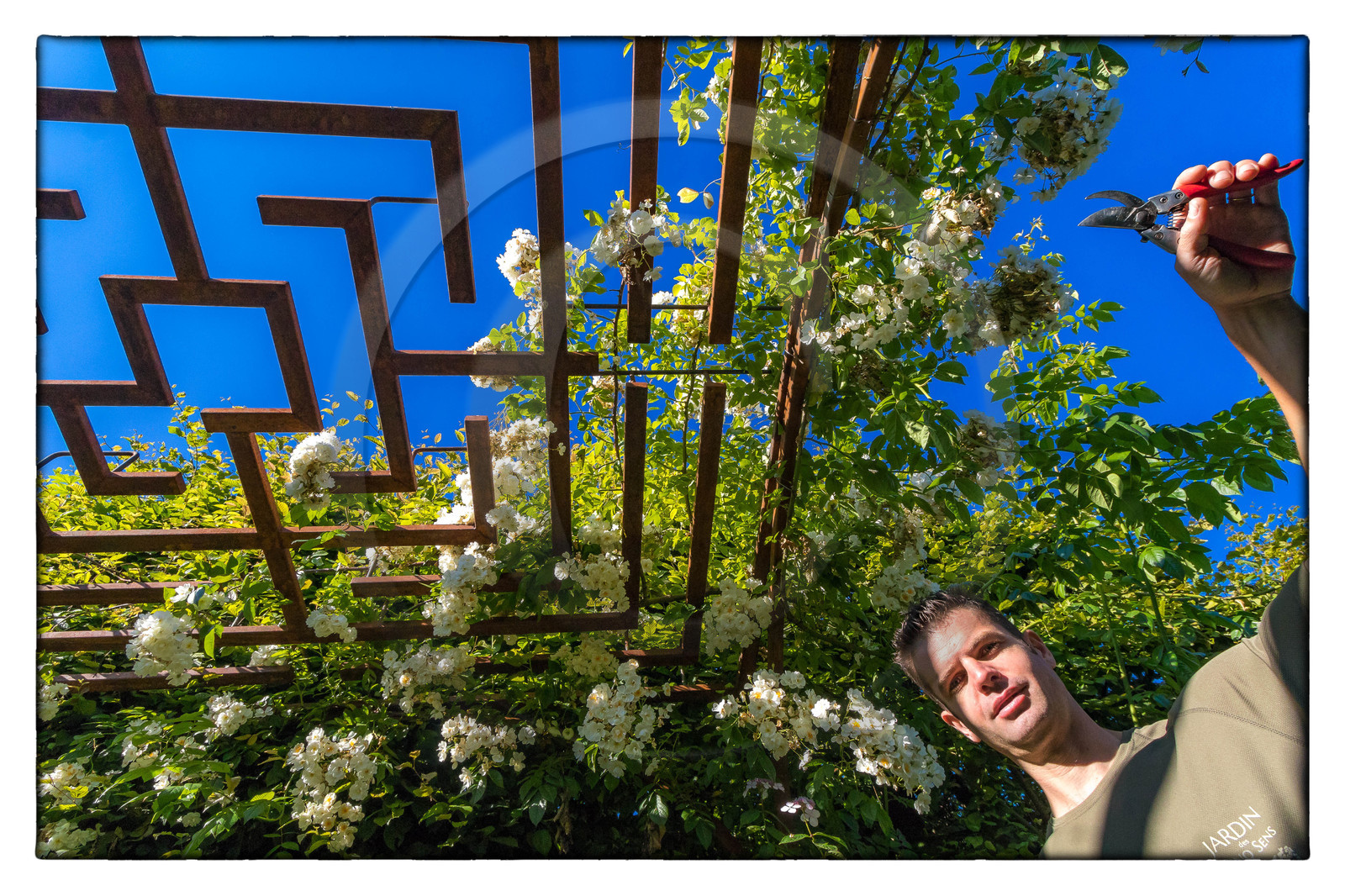 Matthieu Constans, chef jardinier du Jardin des Cinq Sens