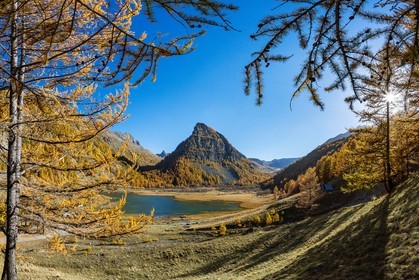 Jausiers, Lac des Sagnes et forêt de mélèzes à l'automne