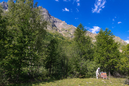 La miellerie du Lauzet