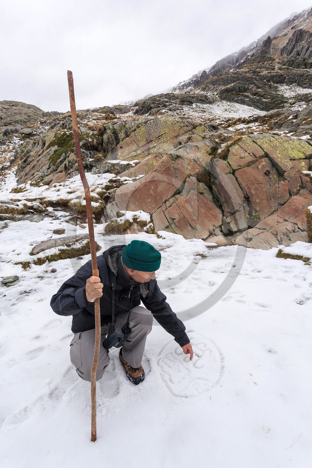 Vallée des Merveilles, gravures rupestres