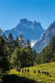 Réserve naturelle de Ristolas-Mont Viso, randonnée au petit belvédère du Viso