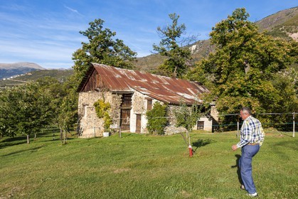 Valdeblore, Saint-Dalmas, chataigneraie de Monsieur Morino