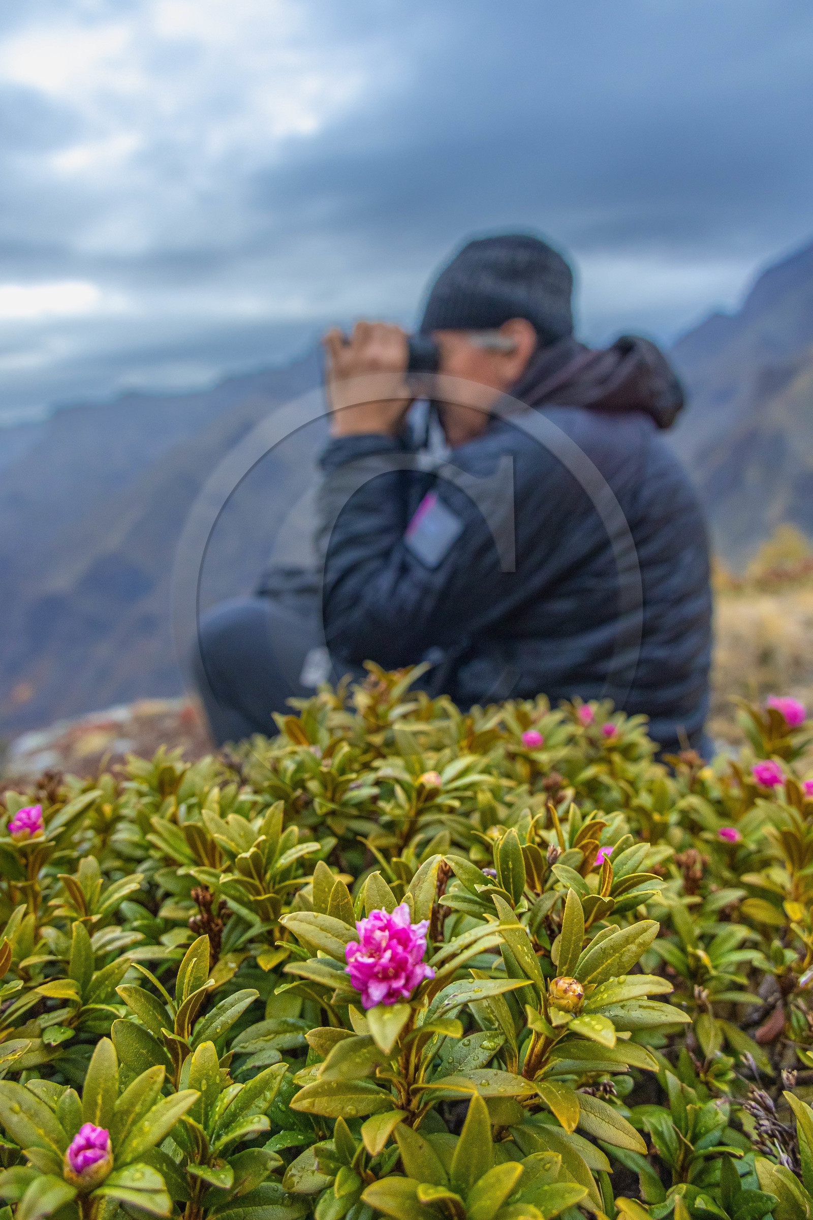Marc Corail, garde-moniteur du Parc national des Ecrins