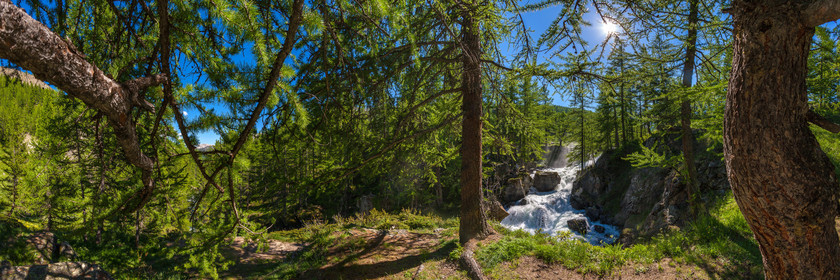 Mélezein à la Cascade de Fontcouverte
