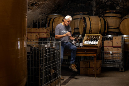 Domaine du Mont Guillaume, Emmanuel Berteloot vigneron
