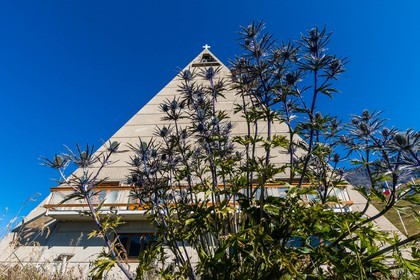 Panicaut des Alpes
