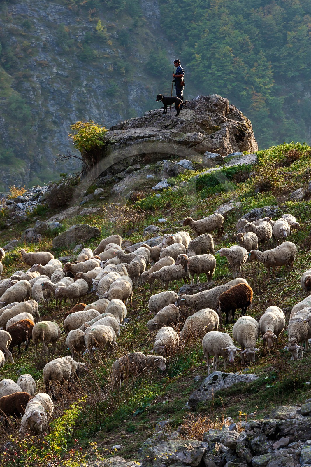 La Chapelle-en-Valgaudemar,