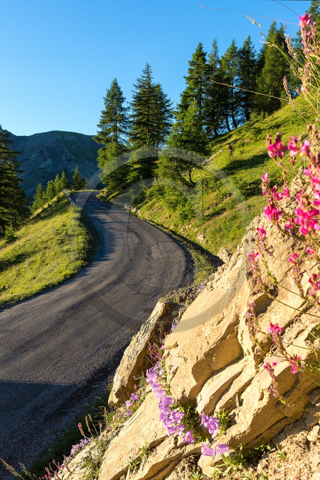 Vallée de l'Ubaye, col d'Allos