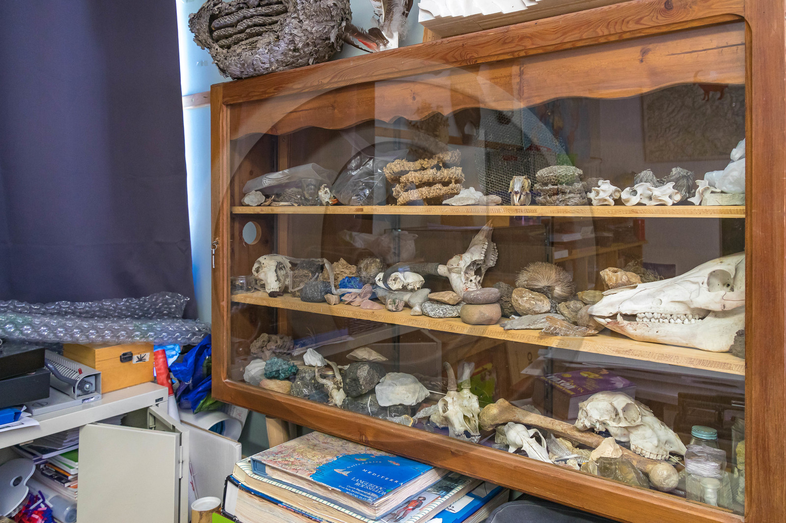 Ecole primaire de Ceillac, La Ruche du Cristillan