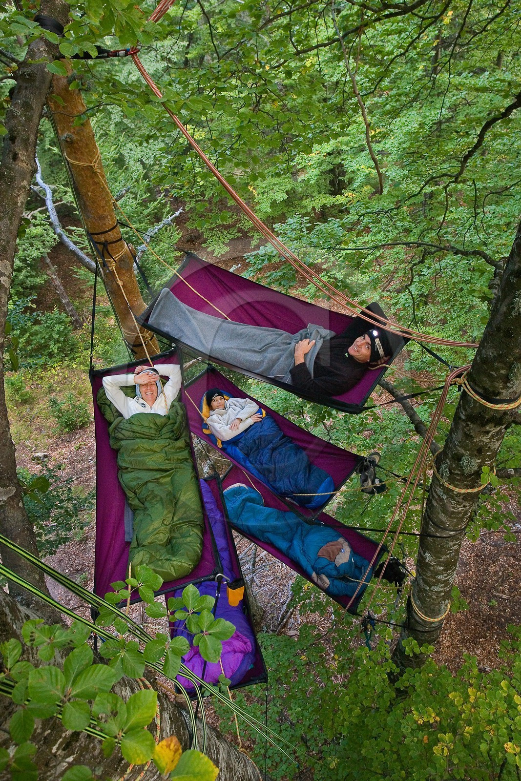 Bivouac dans les arbres